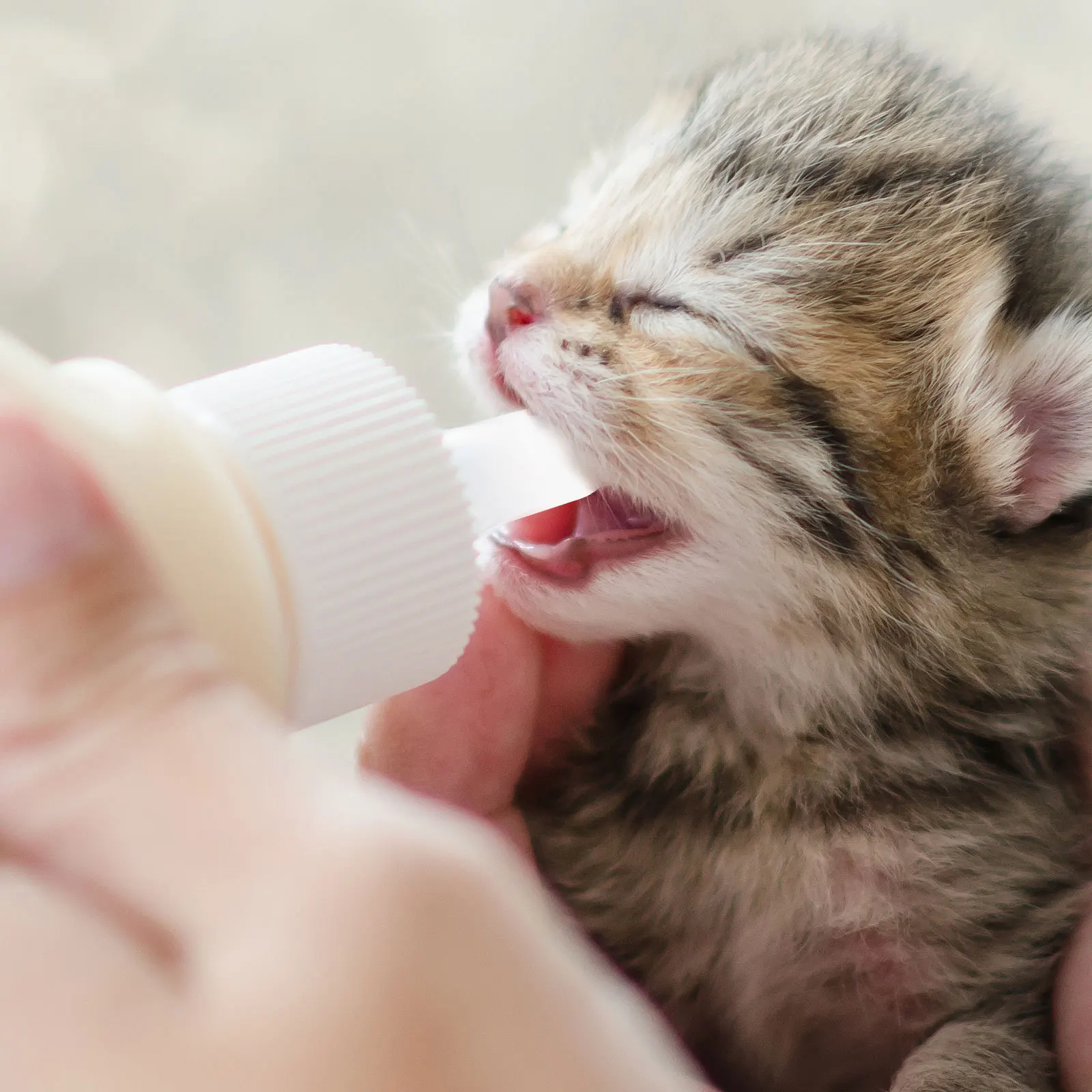 

10Pcs Pet Feeding Nipples Silicone Kitten Nursing Bottle Pacifier Replacement Cat Milk Bottle Accessory Pet Feeding Nipple