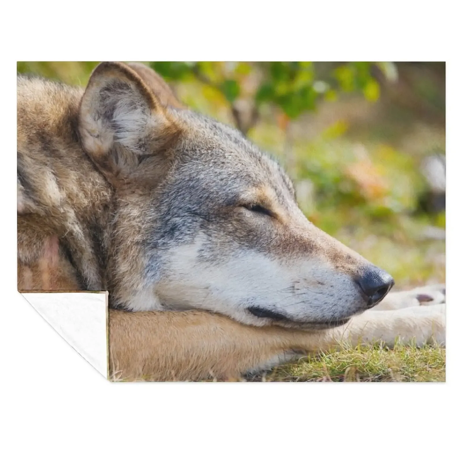 

Beautiful coyote wallpaper Throw Blanket Soft Plush Plaid Moving Decorative Beds Plaid Blankets