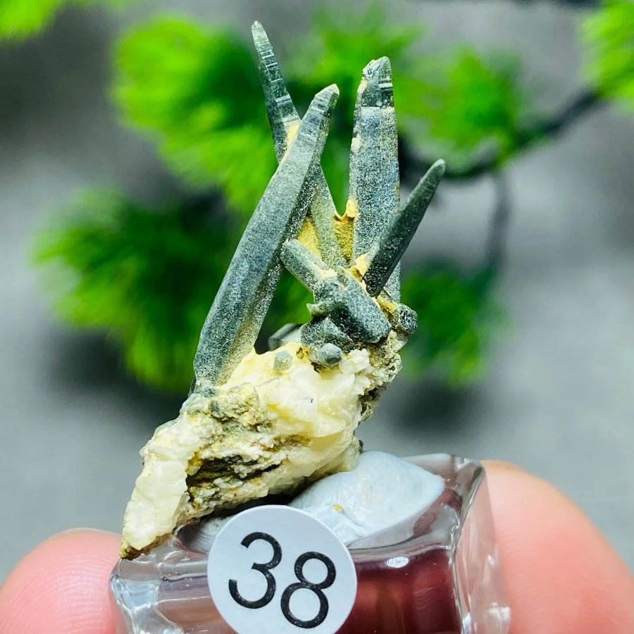 Natural Green Quartz Crystal Cluster Mineral Specimen Raw Stone Collection Reiki Healing Home Decor Geology Teaching