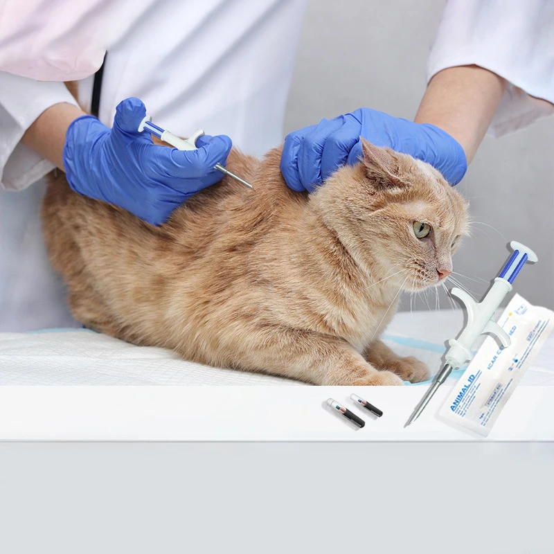 1 ชุด ID Implant สัตว์เลี้ยงชิปเข็ม Vet RFID หัวฉีด PIT แท็กสําหรับเพาะเลี้ยงสัตว์น้ํา Arowana ปลาฟาร์มสุนัข Microchip สัตว์เข็มฉีดยา