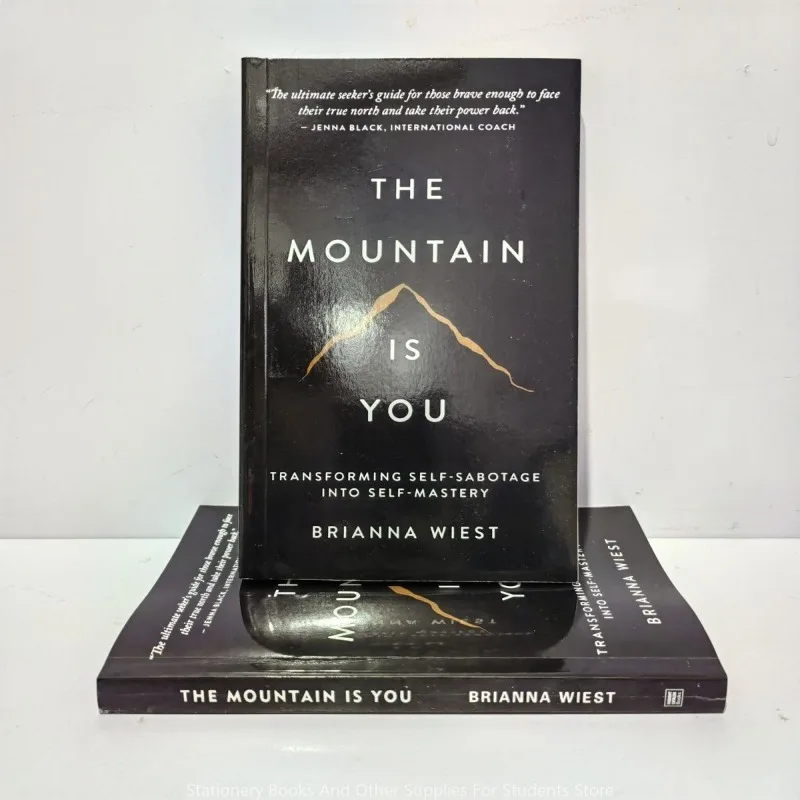 The Mountain Is You Book The Mountain Is You novels Ielts English Atomic Beans Boy On A Row