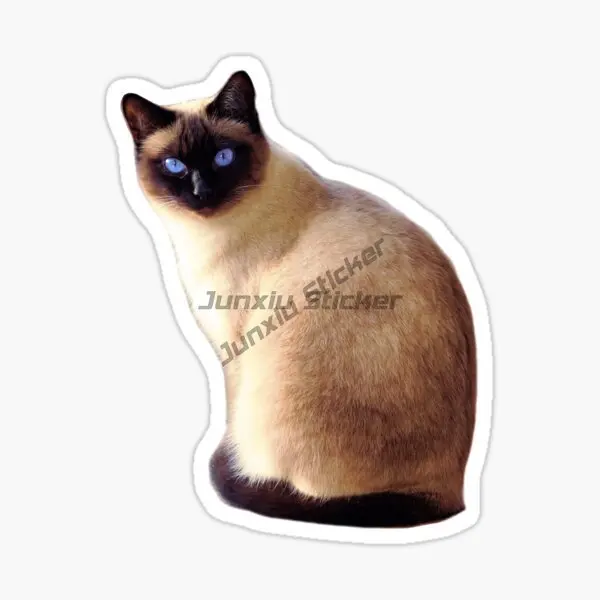 Creative Cute Siamese Cat Pets Waterproof Stickers for Decorate Car Van Wall Room Bicycle Window Fridge Table Off-road Helmet