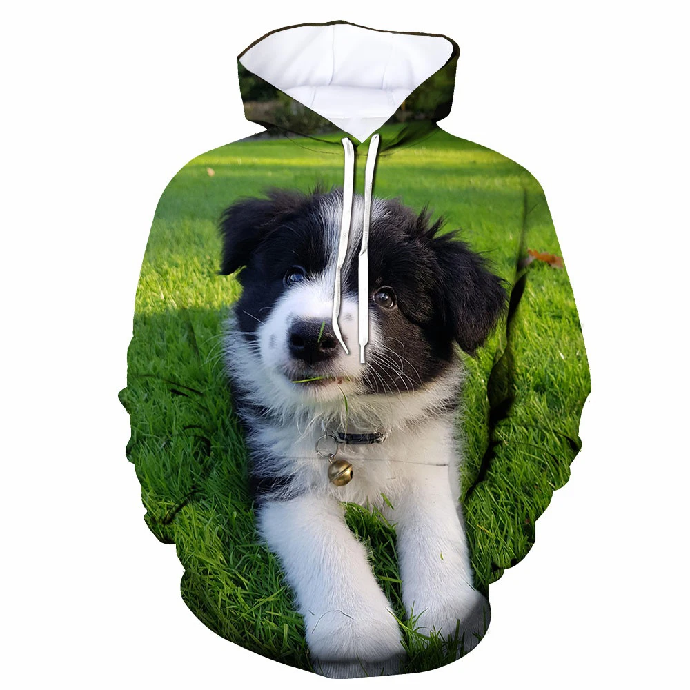 Autumn Border Collie Dog 3D Print Hoodies Men Women Fashion Casual Sweatshirts Oversized Hoodie Pullovers Tracksuit Clothing