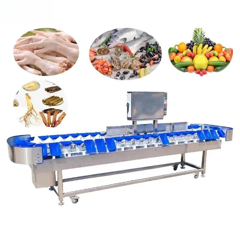 Full Automatic High Speed Potatoes Coco Size O I Seed Sor Grader Sorting Machine Check Weight Sort Conveyor