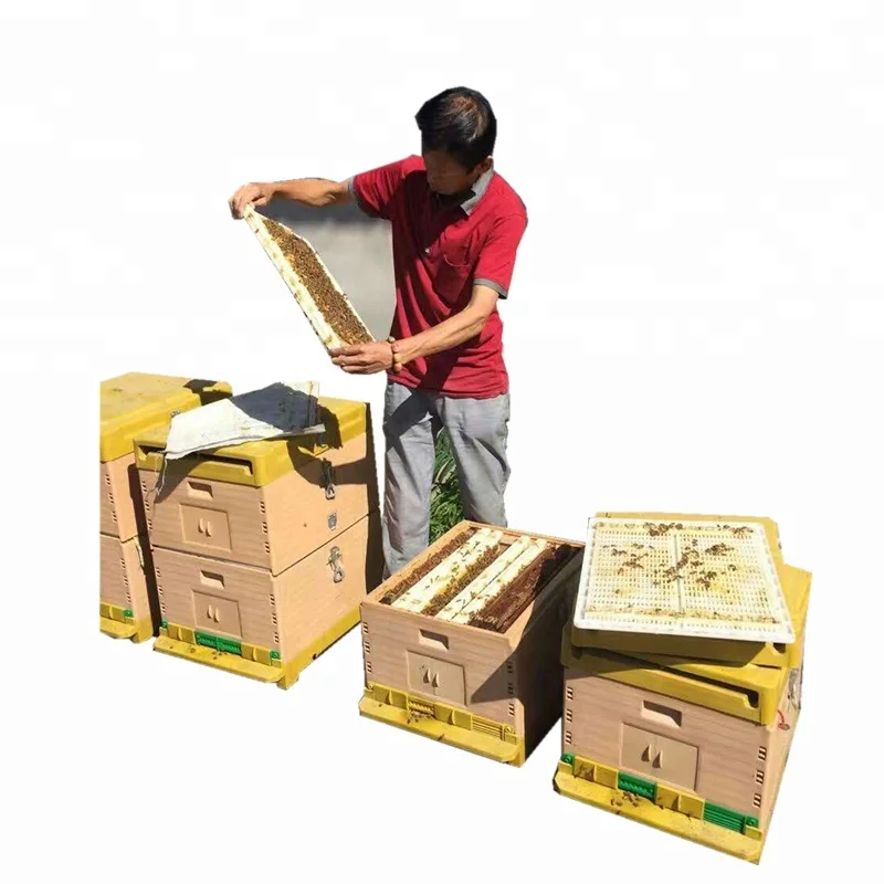 Professional beekeeping Beehive for sale / hive beehive / beehive machine