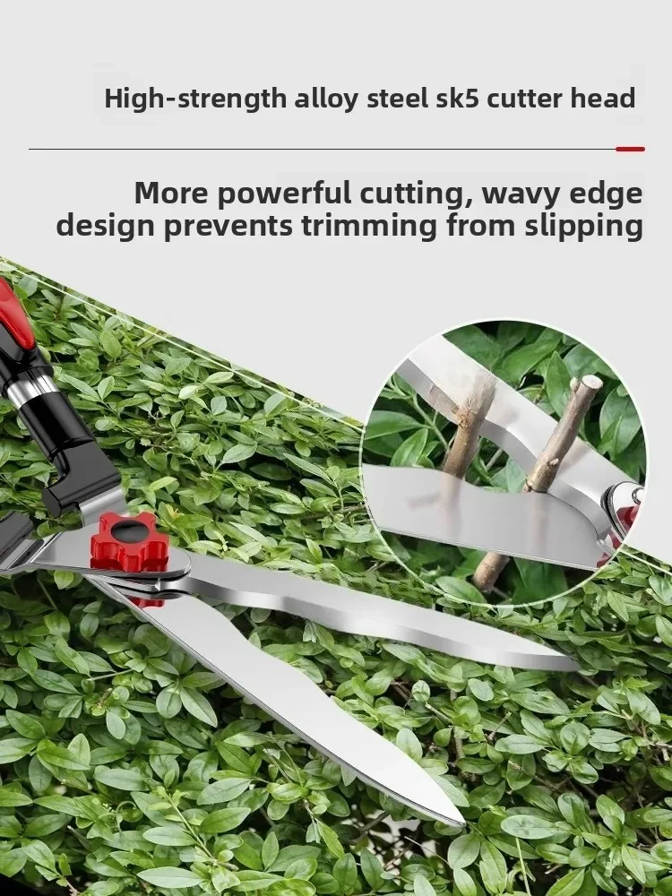 Садовники используют газонокосилку для отделки цветов и травы. Один секатор в руке, оставляет без мертвых ветвей.