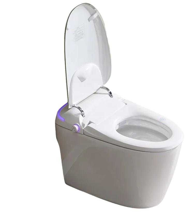 Manufacturer Multiple Color Intelligent OEM ODM With Remote Control Customizable Smart Toilet
