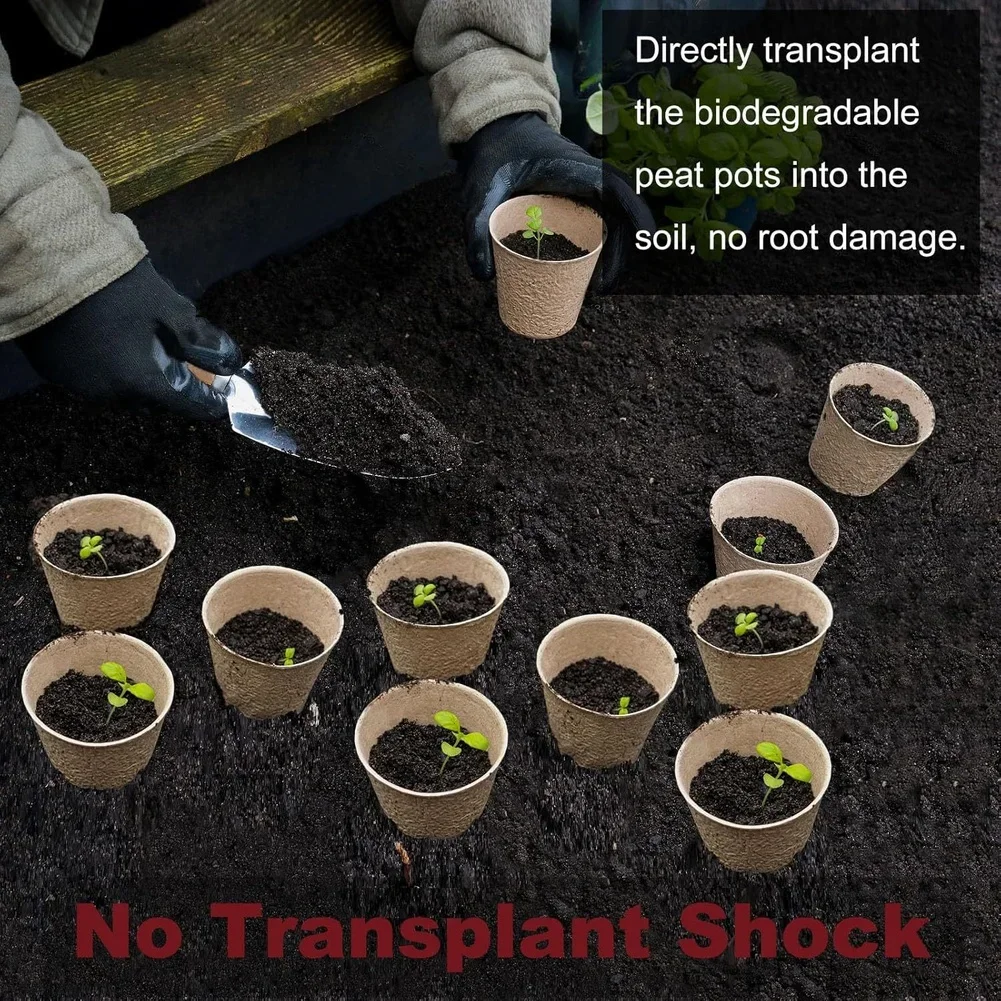 45 Compostable Paper Planting Cups With 30 White Labels For Environmentally Responsible Home Gardening And Direct Soil Transfer