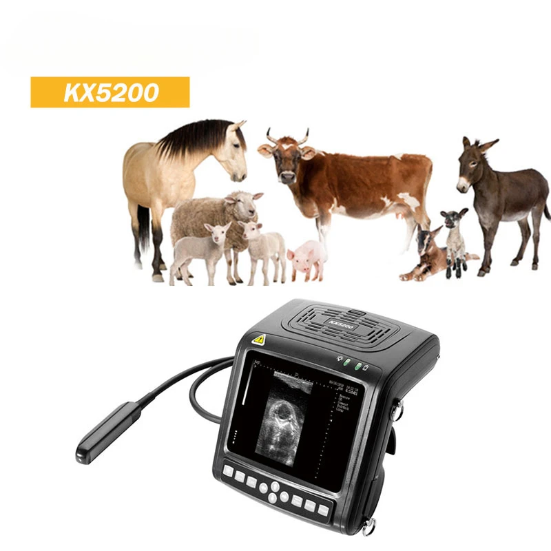 Kaixin KX5200 Goat sheep cow  test digital vet ultrasound