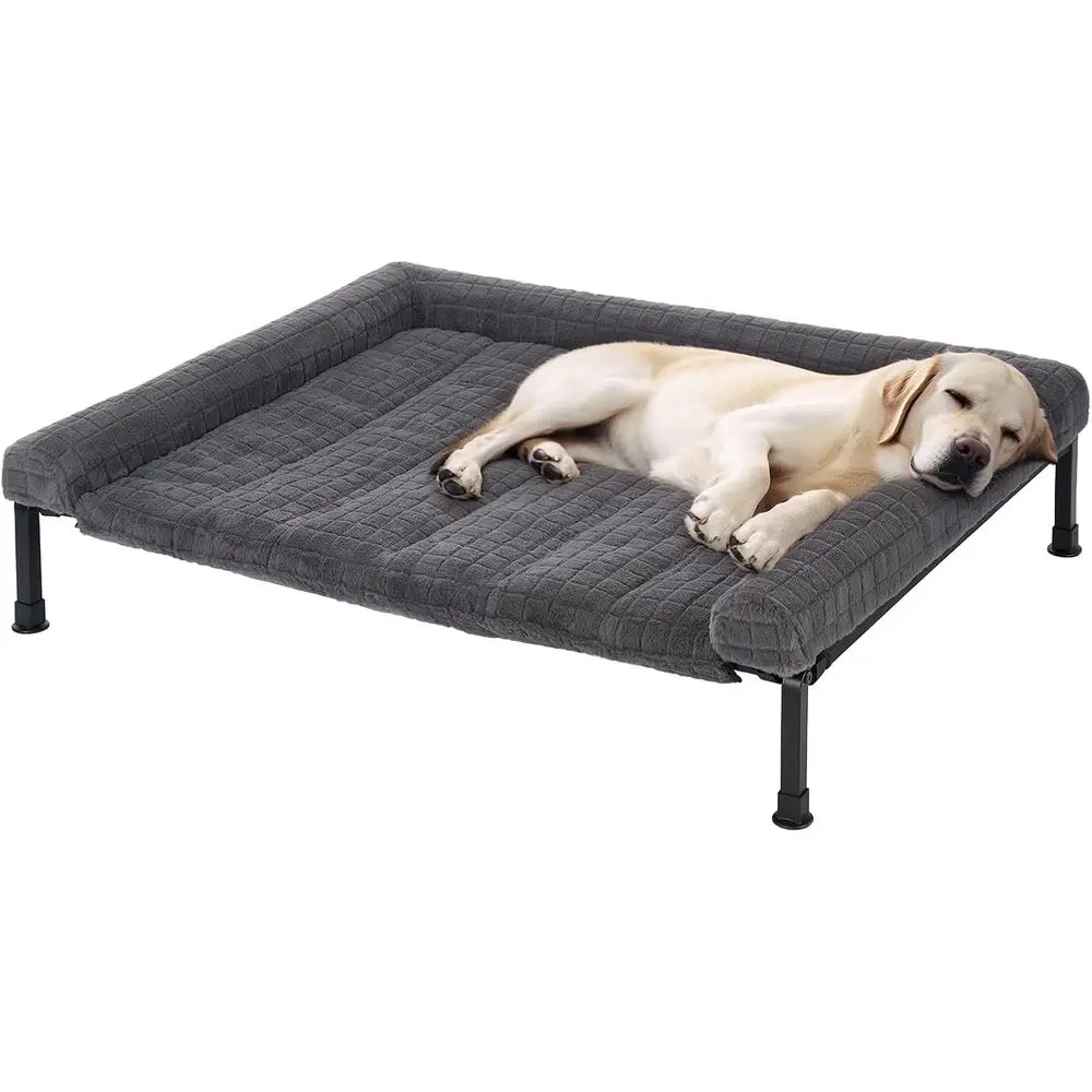 Large Orthopedic Do…