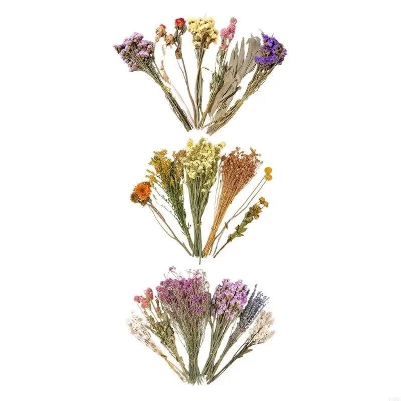 Natural Dried Flower Bedding for Hamster Cages Safe Decorative Floral Habitat Decors