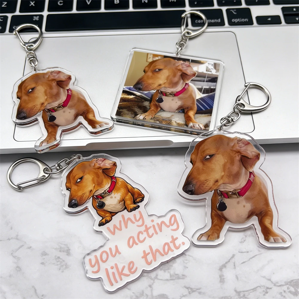 Funny Suspicious Dog Meme Face Keychains for Accessories Bag Fun Side Eye Puppy Dachshund  Keyrings Jewelry Fans Friends Gifts