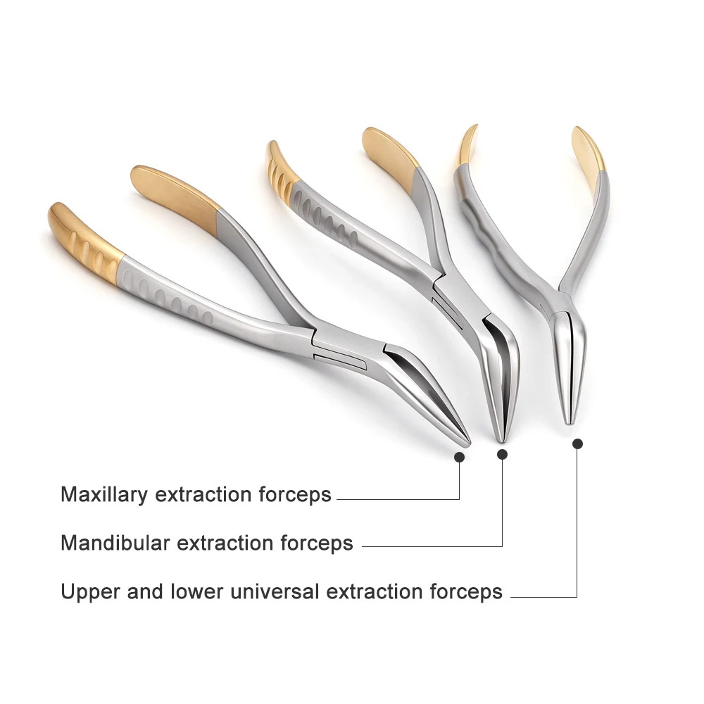 Dental Extraction Forceps Root Fragment Tooth Pliers Surgical Instrument Curved Maxillary Mandibular Tool High Quality