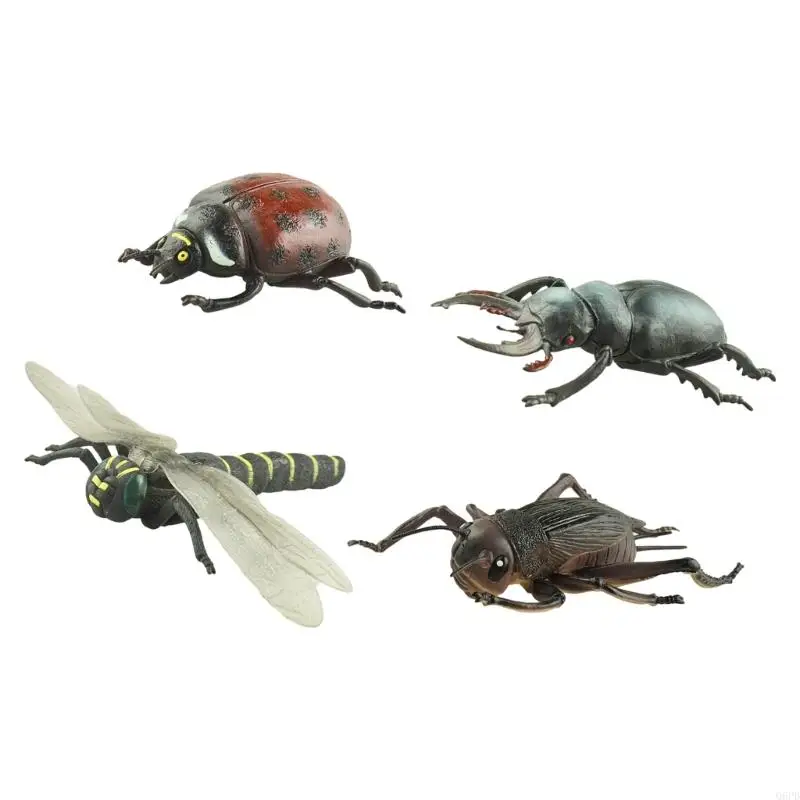   Realistic Insect Animal Model Figurine for Children Science Exploration and Imaginative Roleplay Biology Learning 4pcs