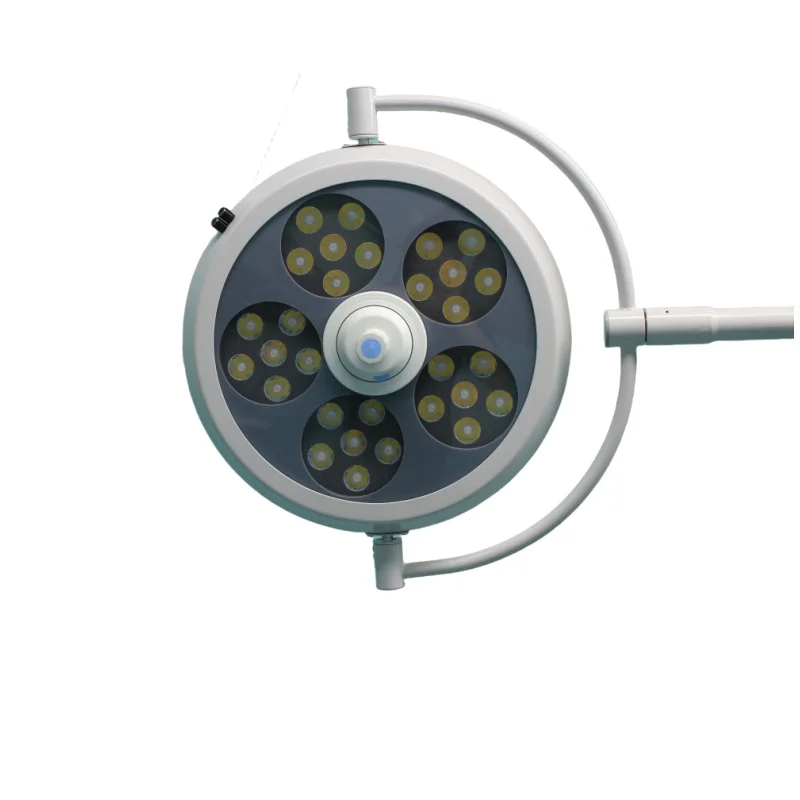 

Mobile Pet Hospital Operation Shadowless Theatre Light Dental Surgery Light Emitting Diode Inspection Light Medical Equipment