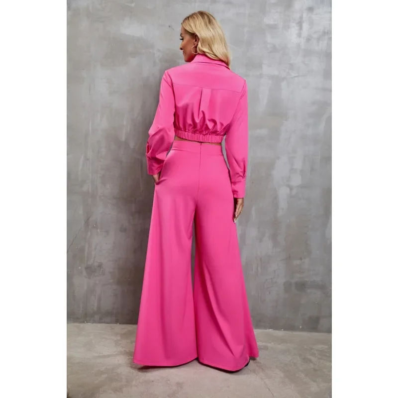 New Arrivals Sense  Design 2024 Autumn Winter New Women's Clothing Solid Color Long Wide-Leg Pants Lapel Long Sleeve Top Two