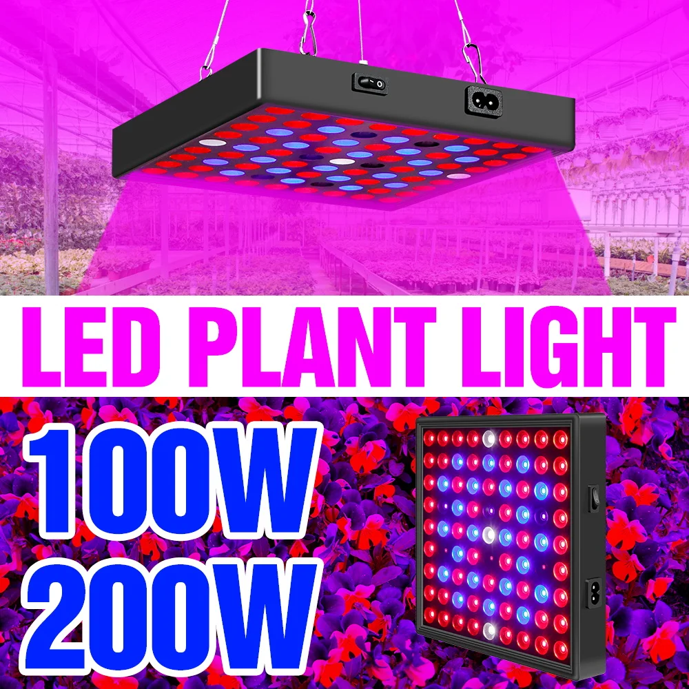 200W Led Full Spect…