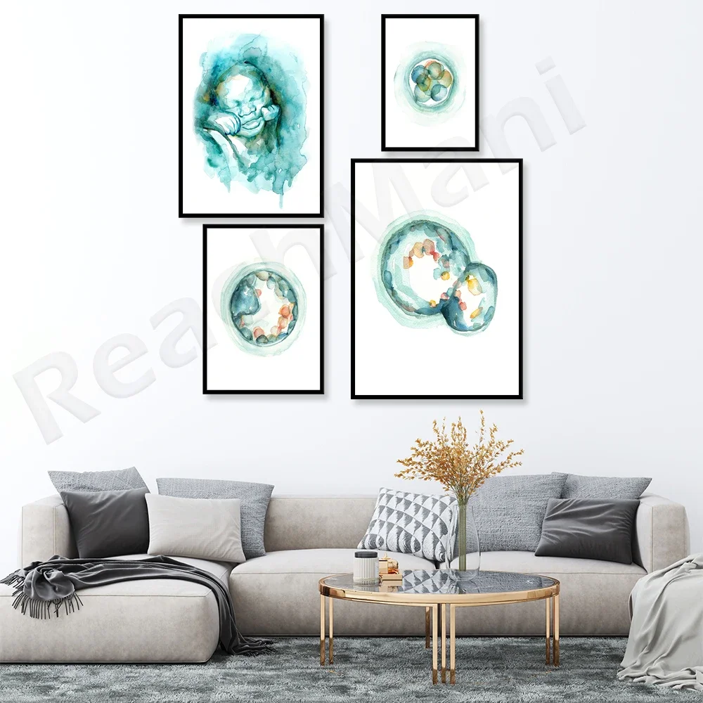 3D Ultrasound Watercolor Art Poster Fertility Pregnancy Embryo Gynaecology Anatomy Ideal Gift for Mother Baby - IVF Related