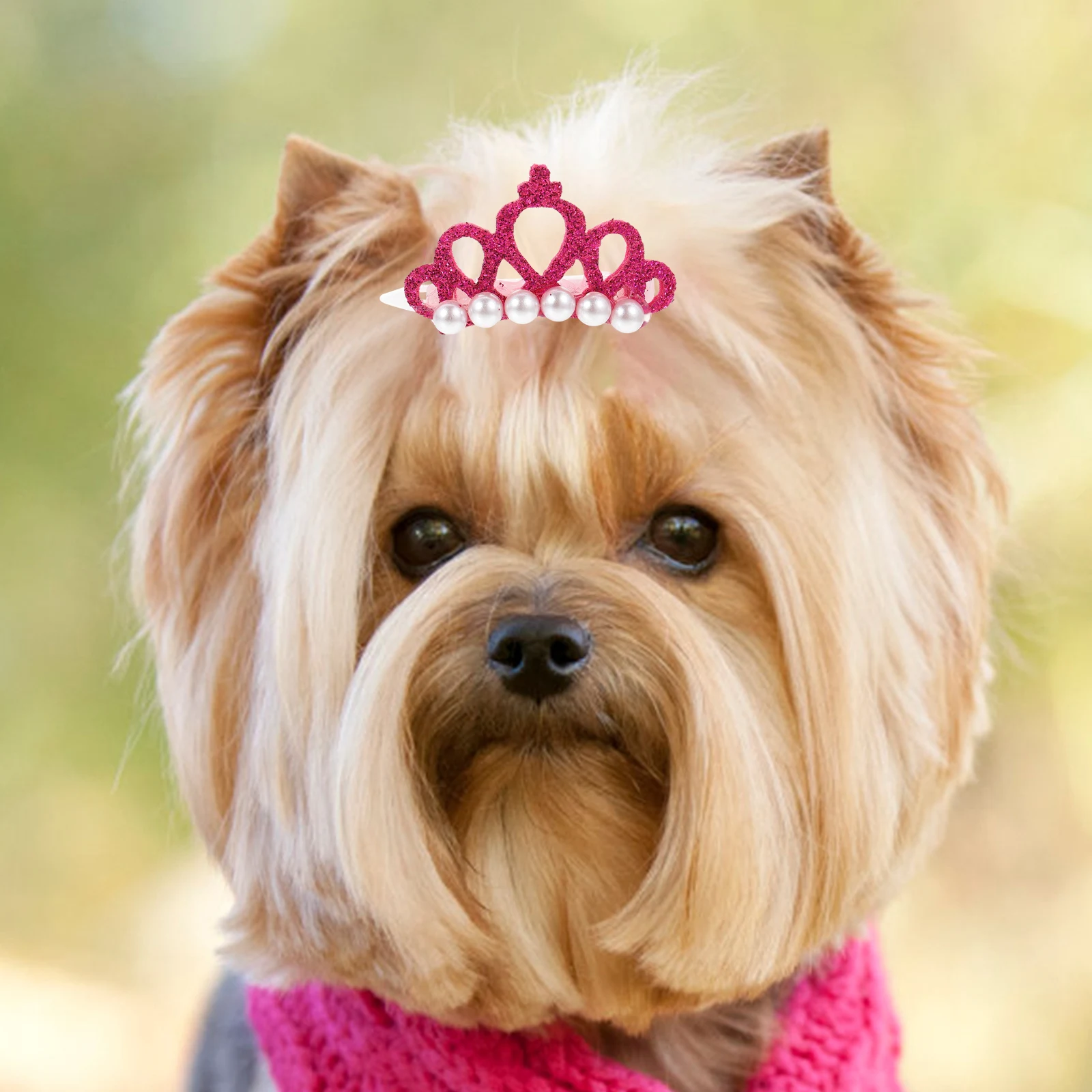 

30Pcs Pet Hair Clips Exquisite Pet Hairpins Crown-Shaped and Cats Comfortable Wear for Any Occasion