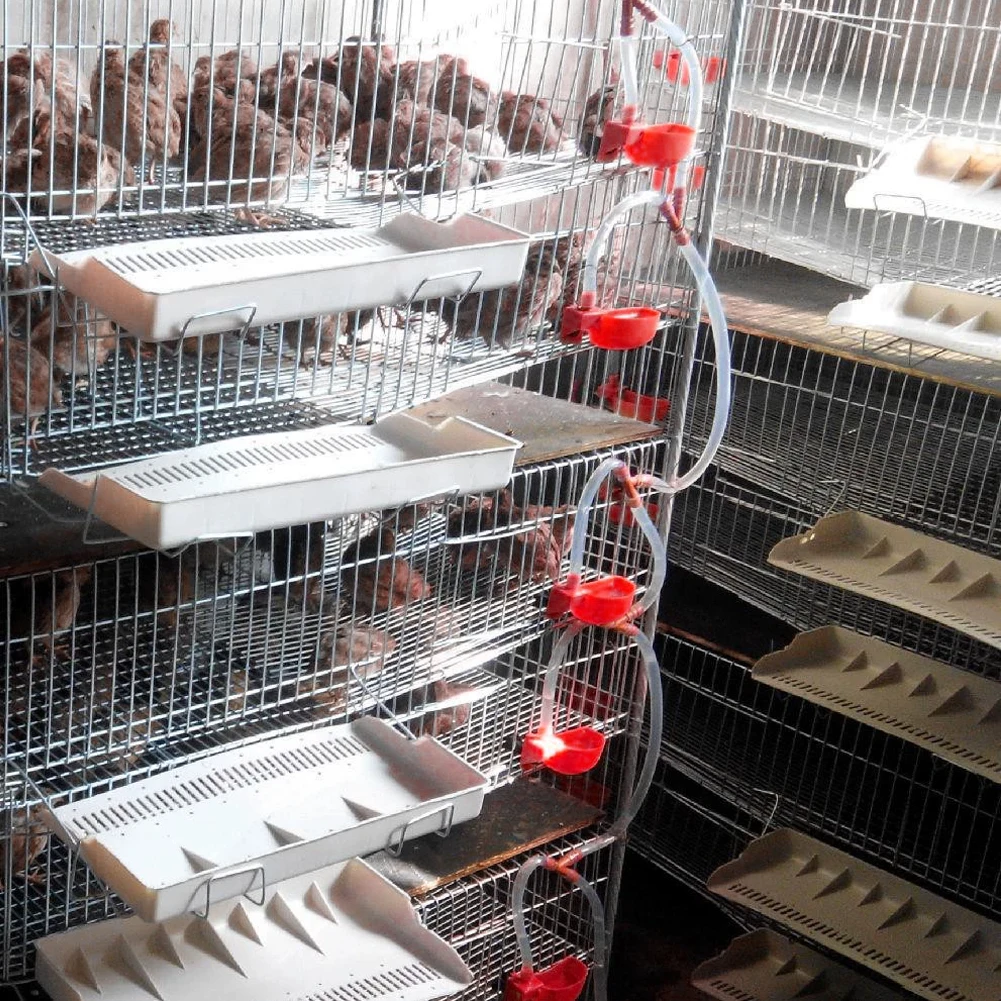 5/10/20Sets Bird Quail Water Drinker Bowl Drinking Cups Automatic Quail Waterers for 10Mm Pipe Bird Parrot Drinking Fountains