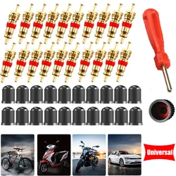 Copper Tire Valve Core Removal Tools Kit for Motorcycle Electric Scooter Car Truck Valve Cores Wrench Screwdriver Stem Caps Set