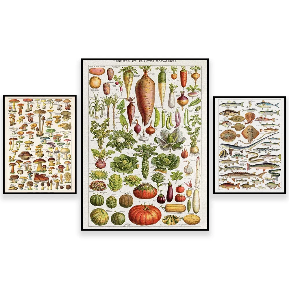 Adolphe Millot's French Vintage Poster Fish, Mushrooms, Vegetables, Kitchen Poster, Mushroom Map, Kitchen Decor Canvas Poster