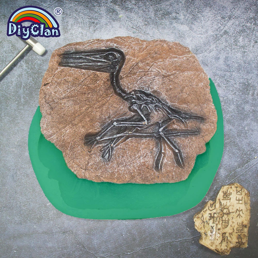 Pterosaur Fossils Silicone Mould DIY Handmade Crafts Making Home Decoration Tools Handpainted Gypsum Ceramic Baking Epoxy Mold