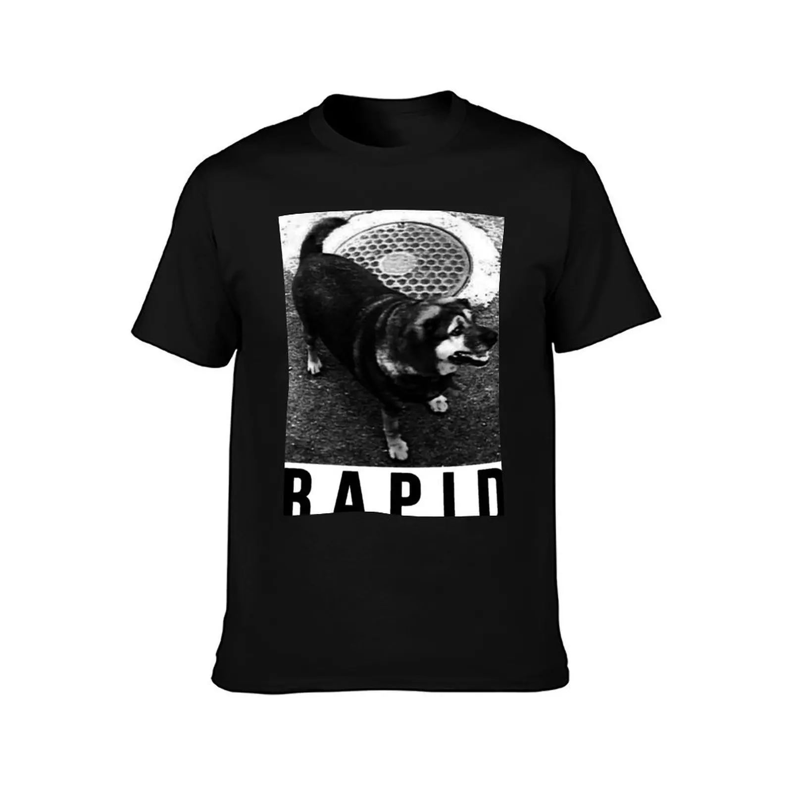 Sacchan is Rapid T-Shirt, Summer Casual Cotton Tee, Oversized Streetwear Tops, Vintage Graphic Print, Loose Fit Short Sleeve