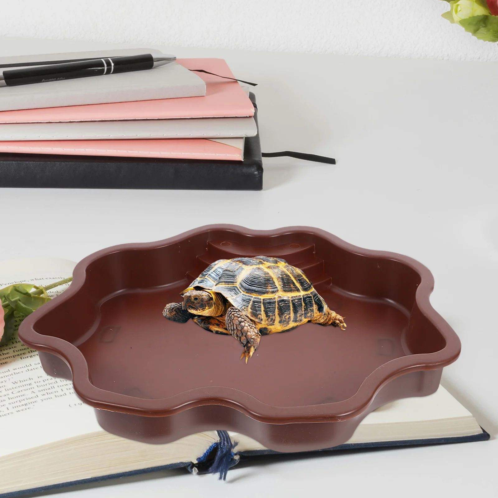 

Reptile Feeder Bowl Multifunctional Use for Feeding Watering Bathing Small Pets Lizards Turtles Chameleons Bowl