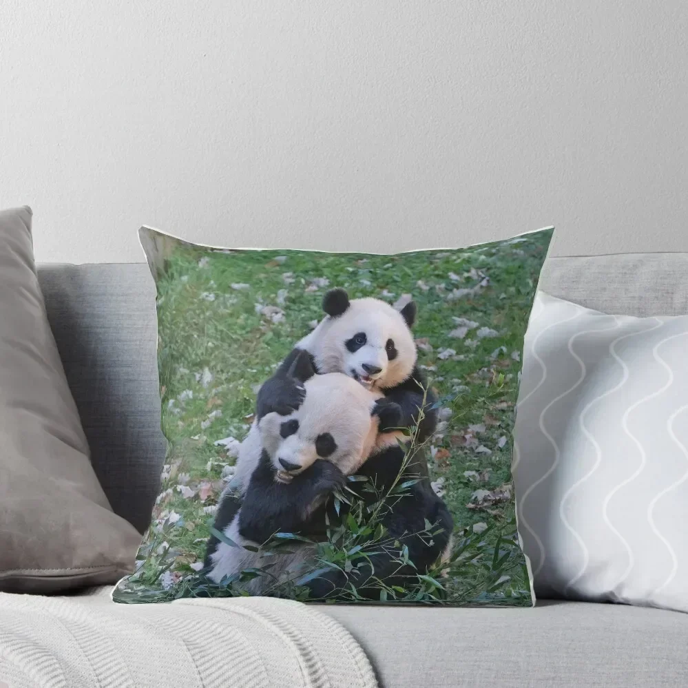 

Giant Pandas Mei Xiang and Xiao Qi Ji at the National Zoo Throw Pillow Rectangular Cushion Cover autumn pillowcase pillow