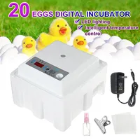 20/50 Automatic Turning Mini Eggs Incubator LED lighting Digital Temperature Alarm Incubatores Hatching Goose Quail Chicken Eggs