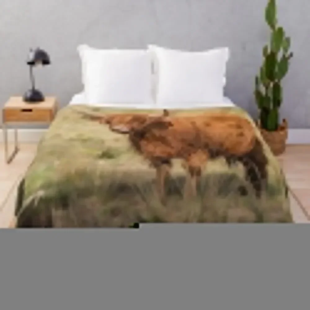 

Scottish Highland cow Throw Blanket Foldable Soft Warm Blanket for Outdoor Use