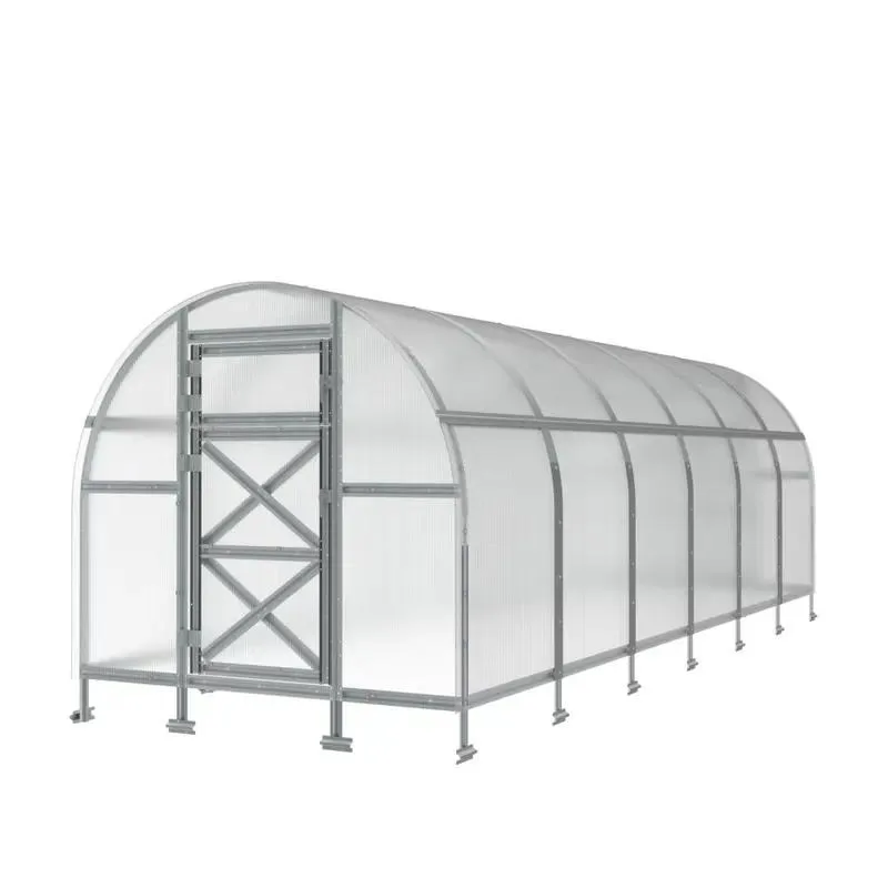 6.5x13ft Premium Steel Framed Solar Greenhouse with Dome and PC Board for Backyard Home Gardens