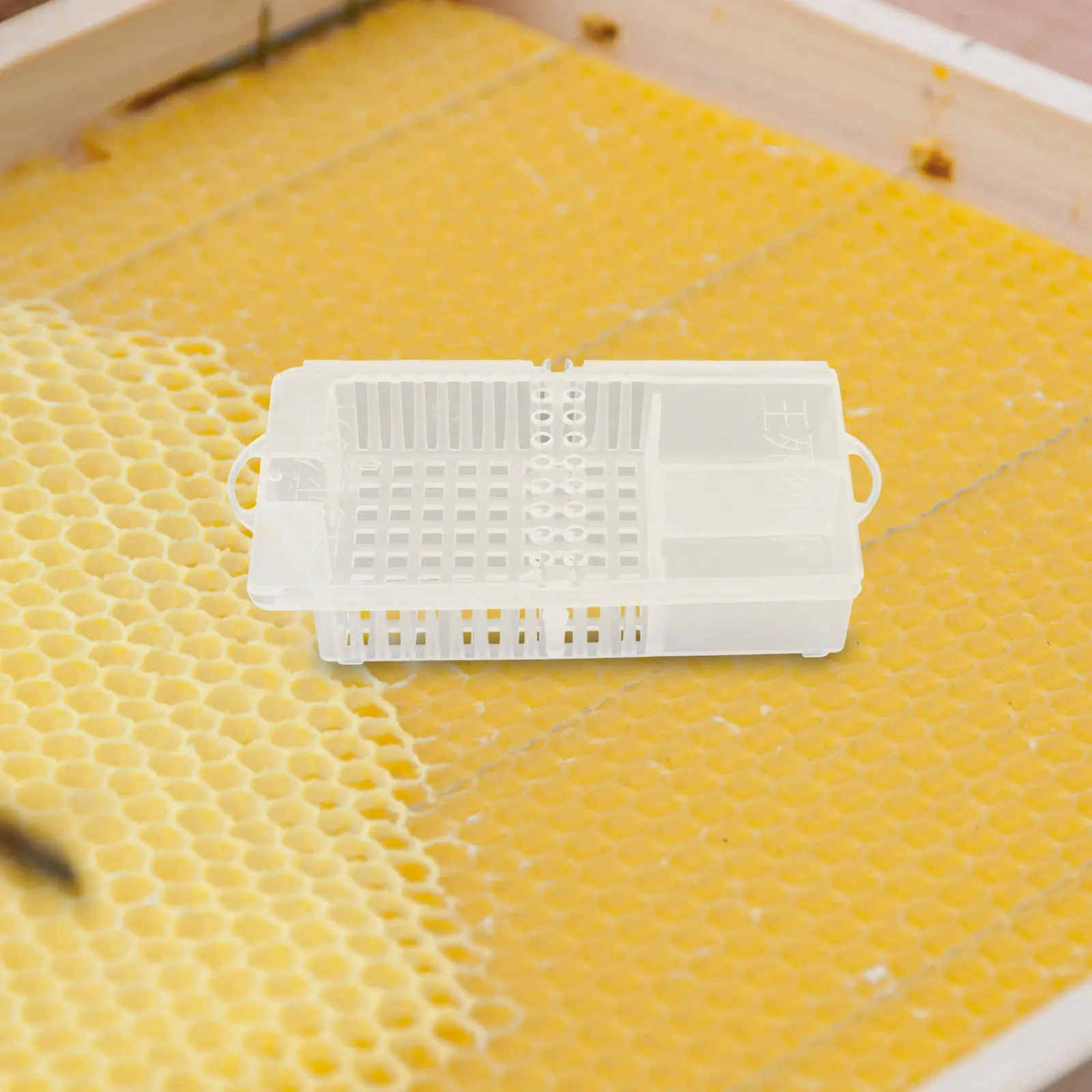 5Pcs Transparent Bee Queen Cage Dual Chamber Plastic Rearing Box Beekeeping Tool Hive Transport Box Honeybee Supplies