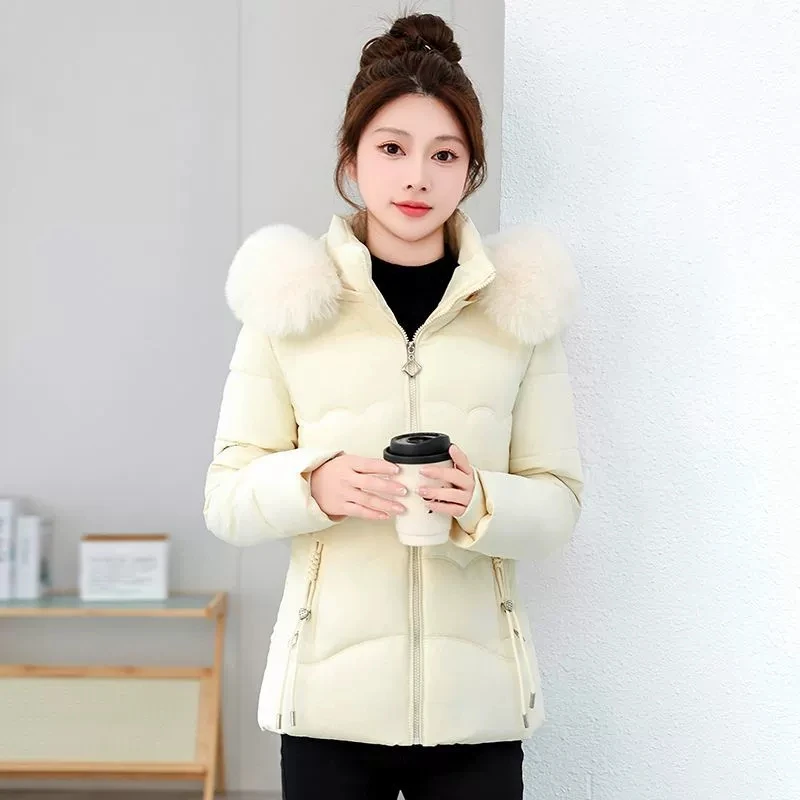 女性の冬の毛皮の襟フード付きパーカーファッションジッパーショートジャケットエレガントなスリム暖かい厚いダウン綿パッド入りジャケット女性のコート