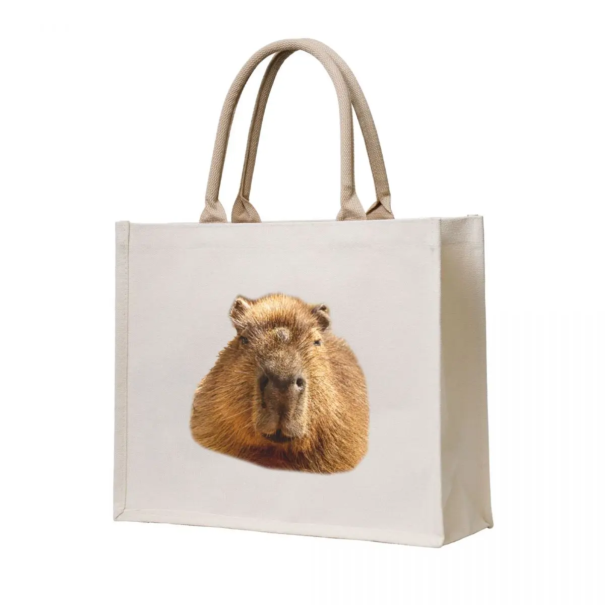 

Capybara dozing in the sunshine Tote Bag bags luxury women reusable shopping bags tote bags cloth Women's tote bag