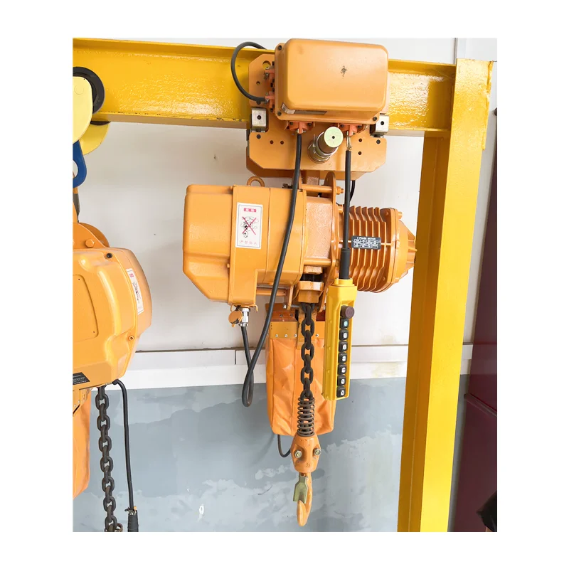 electrical hoist crane 500 kg 1000 kg 2000 kg for crane factory