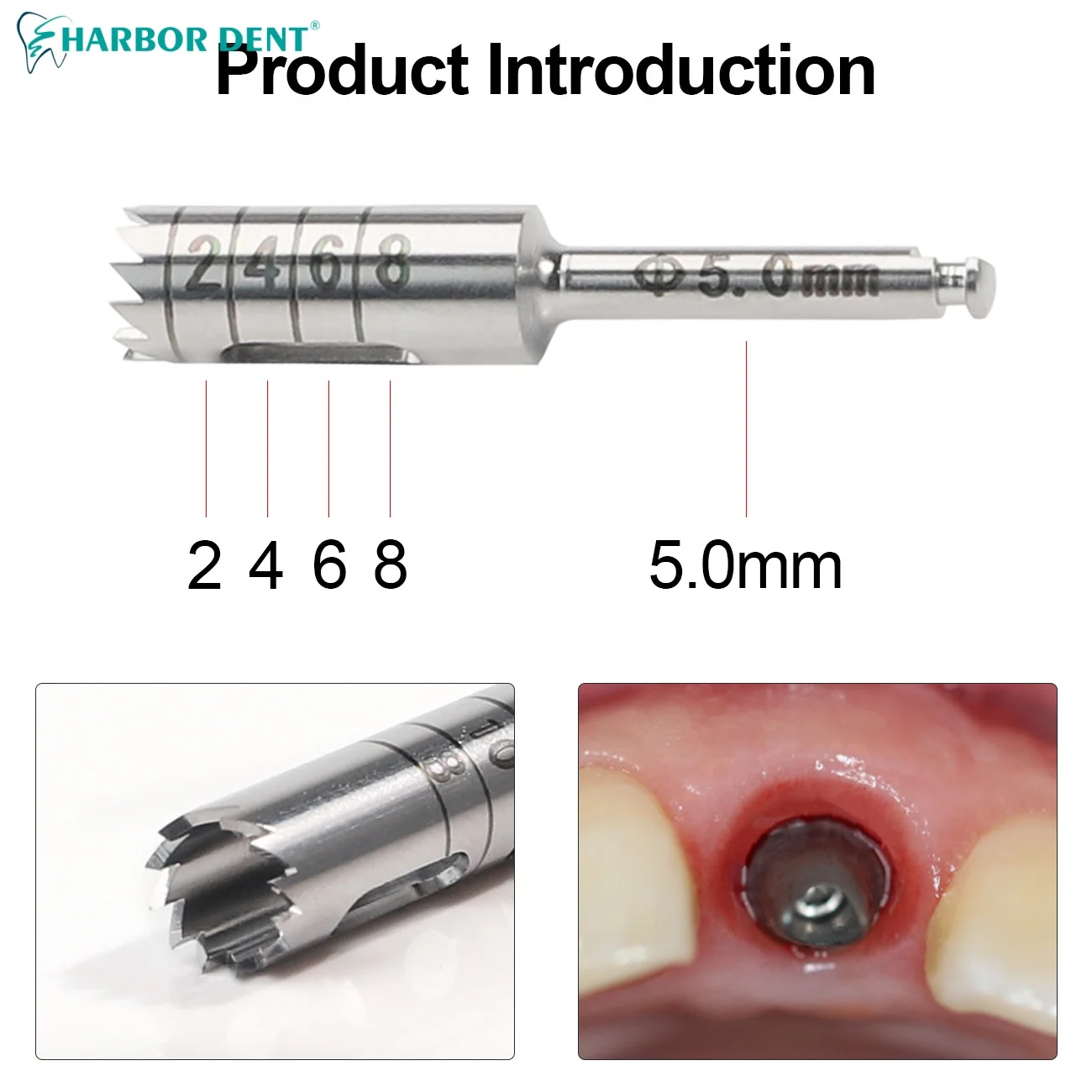 1Set Dental Implant Bone Trephine With Bur Disinfection Holder For Handpiece Surgical Instrument Implant Drill