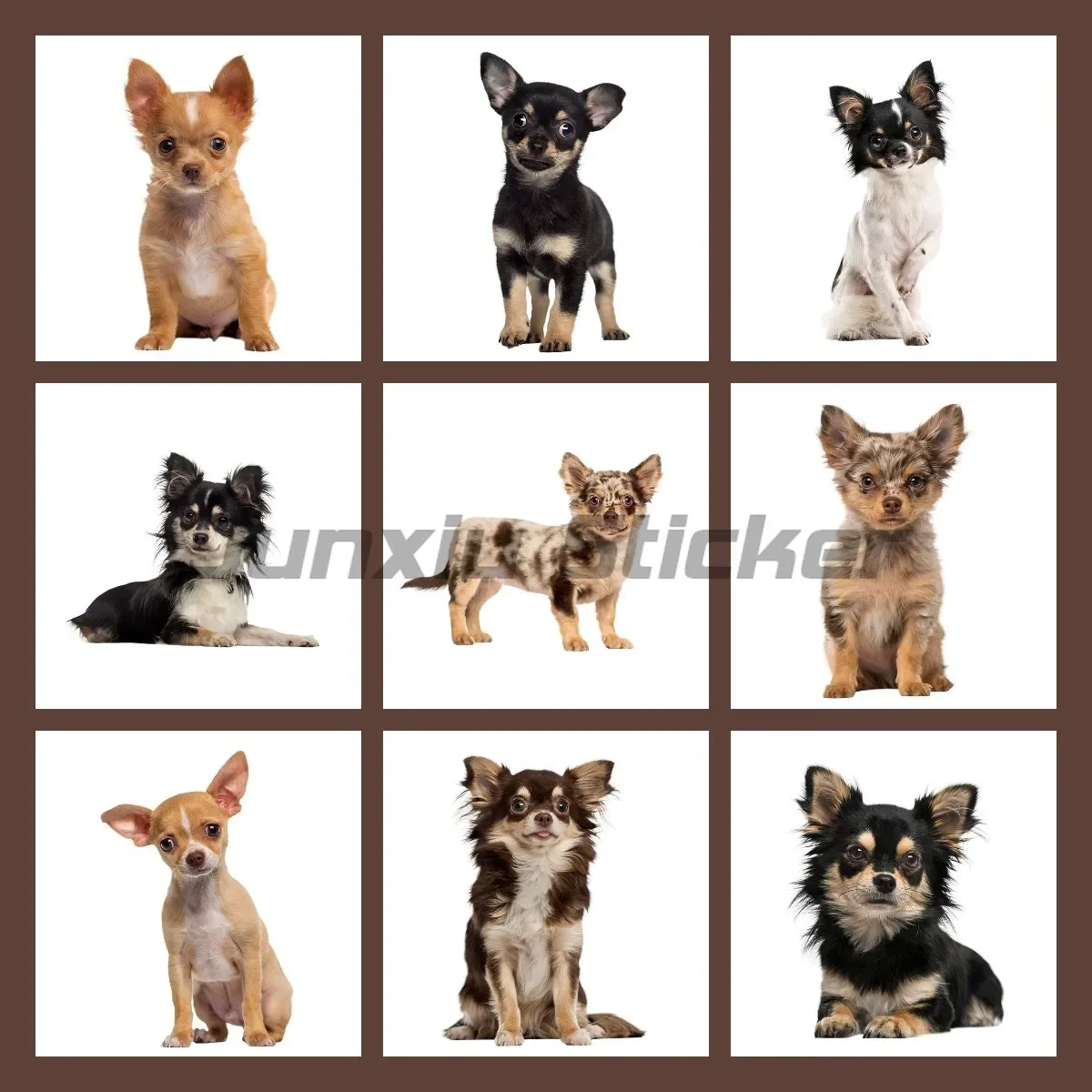 

Наклейка с собакой чихуахуа, виниловая самоклеящаяся наклейка на автомобиль, наклейки на капот автомобиля, домашний декор