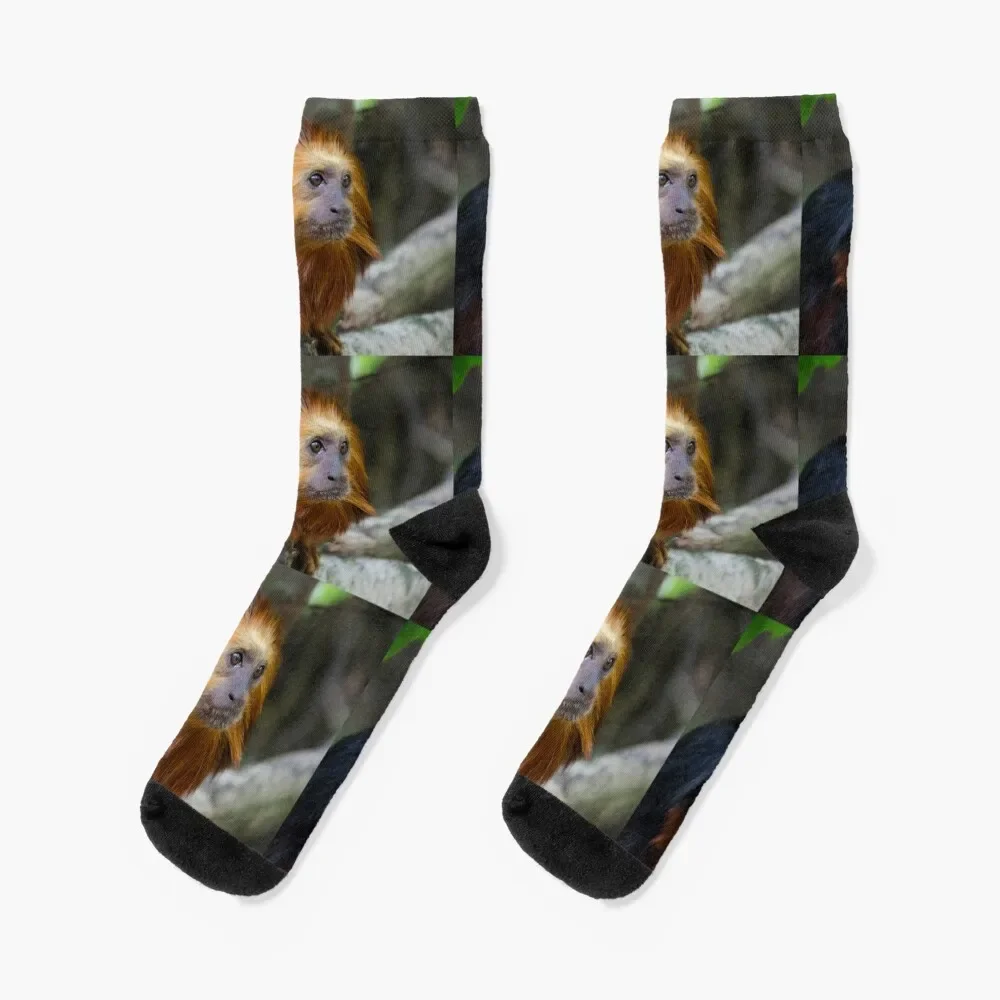 

little cute monkey Golden headed Lion Tamarin baby monkey Socks Stockings sports and leisure Women Socks Men's