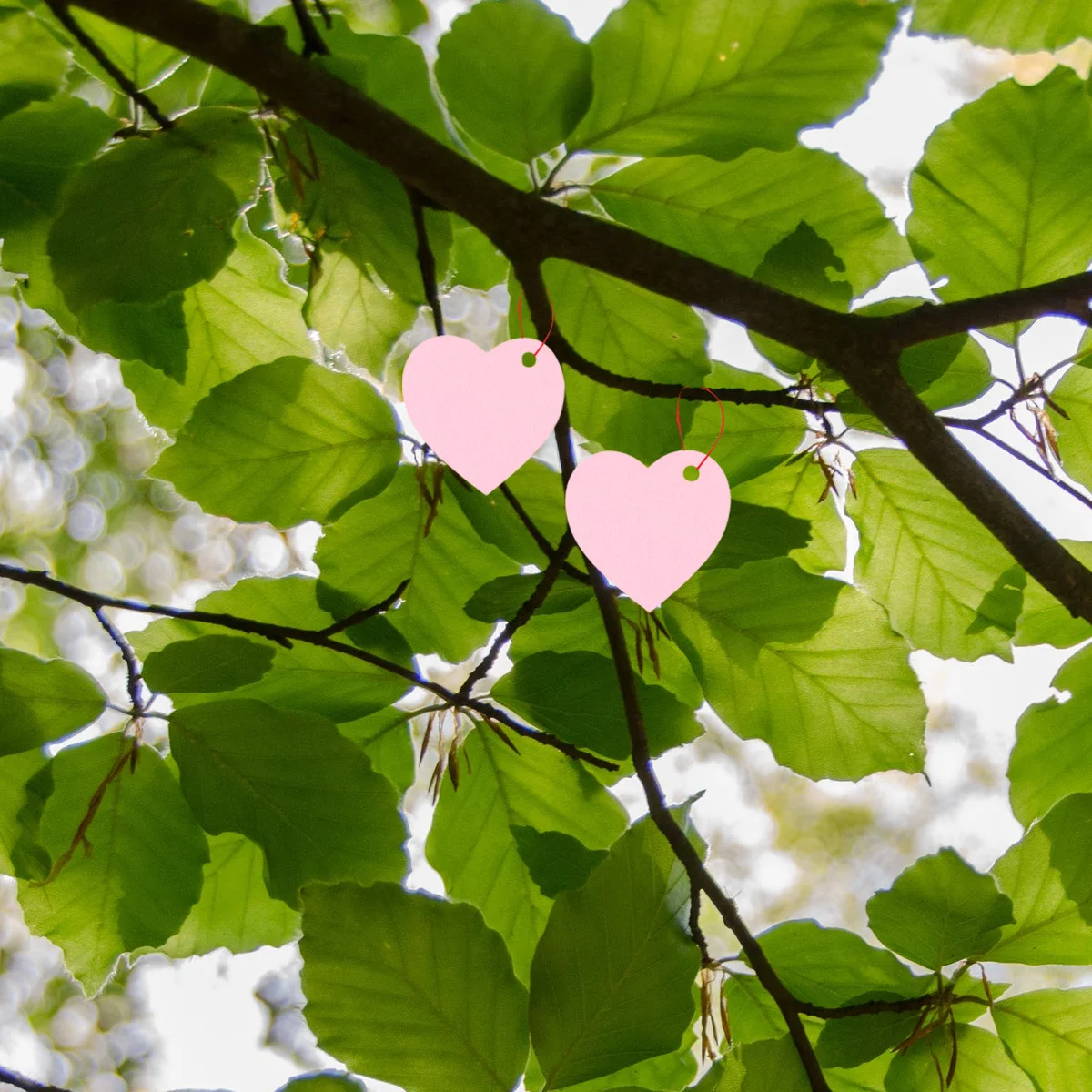 

100pcs Heart Shaped Hanging Tags Decorative Pink Wishing Cards for Gift Valentine Christmas Party Supplies Tag Gifts