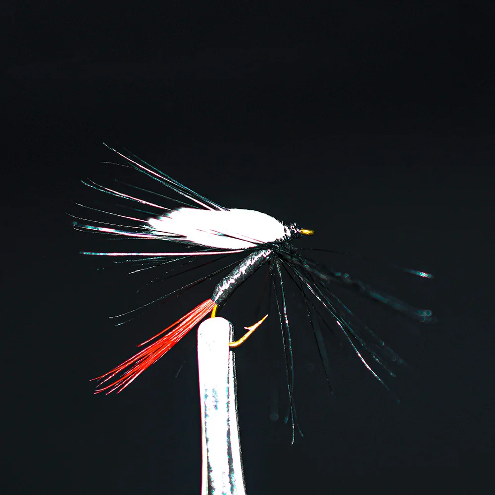 12Pcs Red Tail White Wing Nymph Dry Flies for Trout Bass Fishing Flies Artificial Insect Hook Fly Fishing Lure