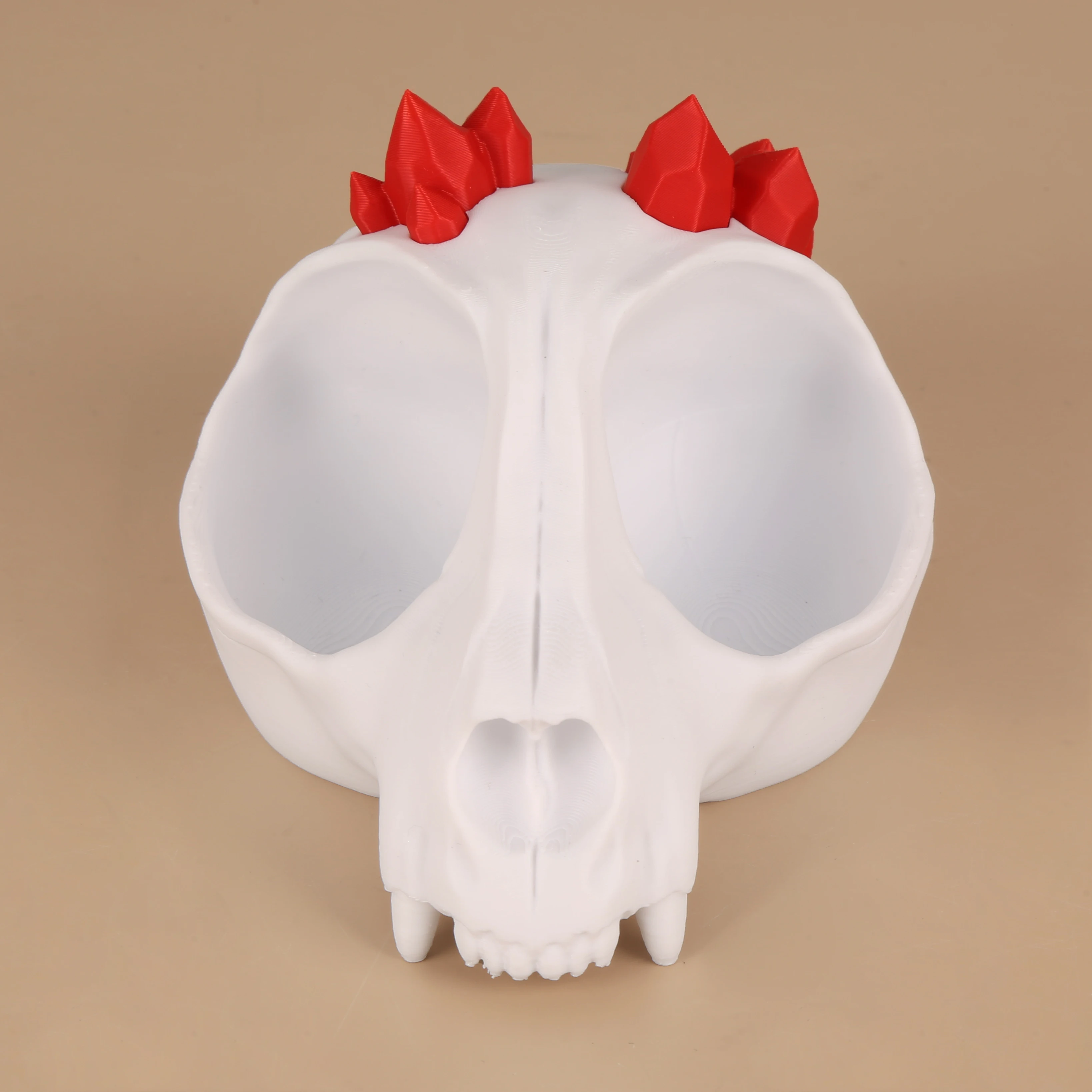 Cross-Border Dark Skull Double-Compartment Succulent Planter For Personalized Gothic-Style Desktop Greenery Decoration Scenario