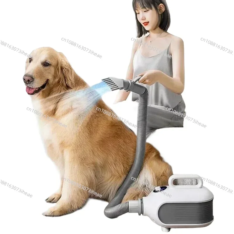 

Secador De Pelo Rápido Para Perros Y Gatos, Dispositivo De Belleza De 2000W, Con Aire Caliente, Para Perros Pequeños, Medianos