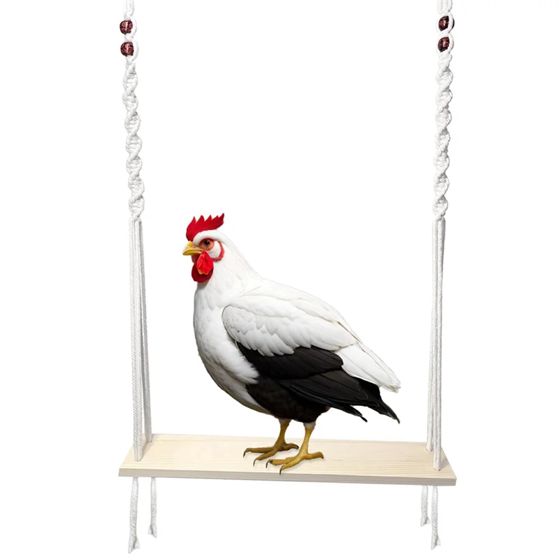 Abll-Swing Chicken … - image