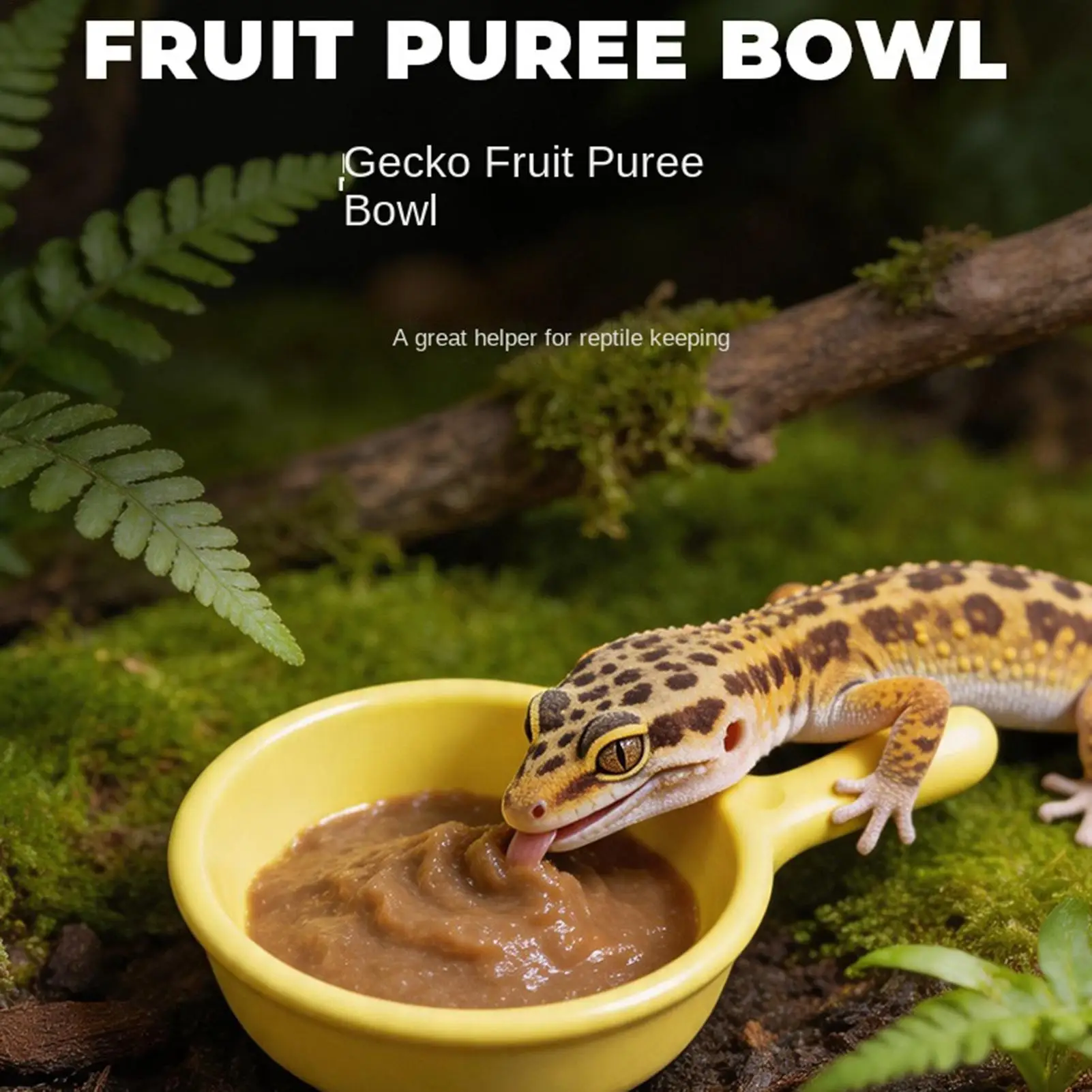 Safe Material Matched Crested Gecko Food Dish Smooth With Feeding Spoon Easy Feeding For Bearded Dragon Breeders Pet Keepers