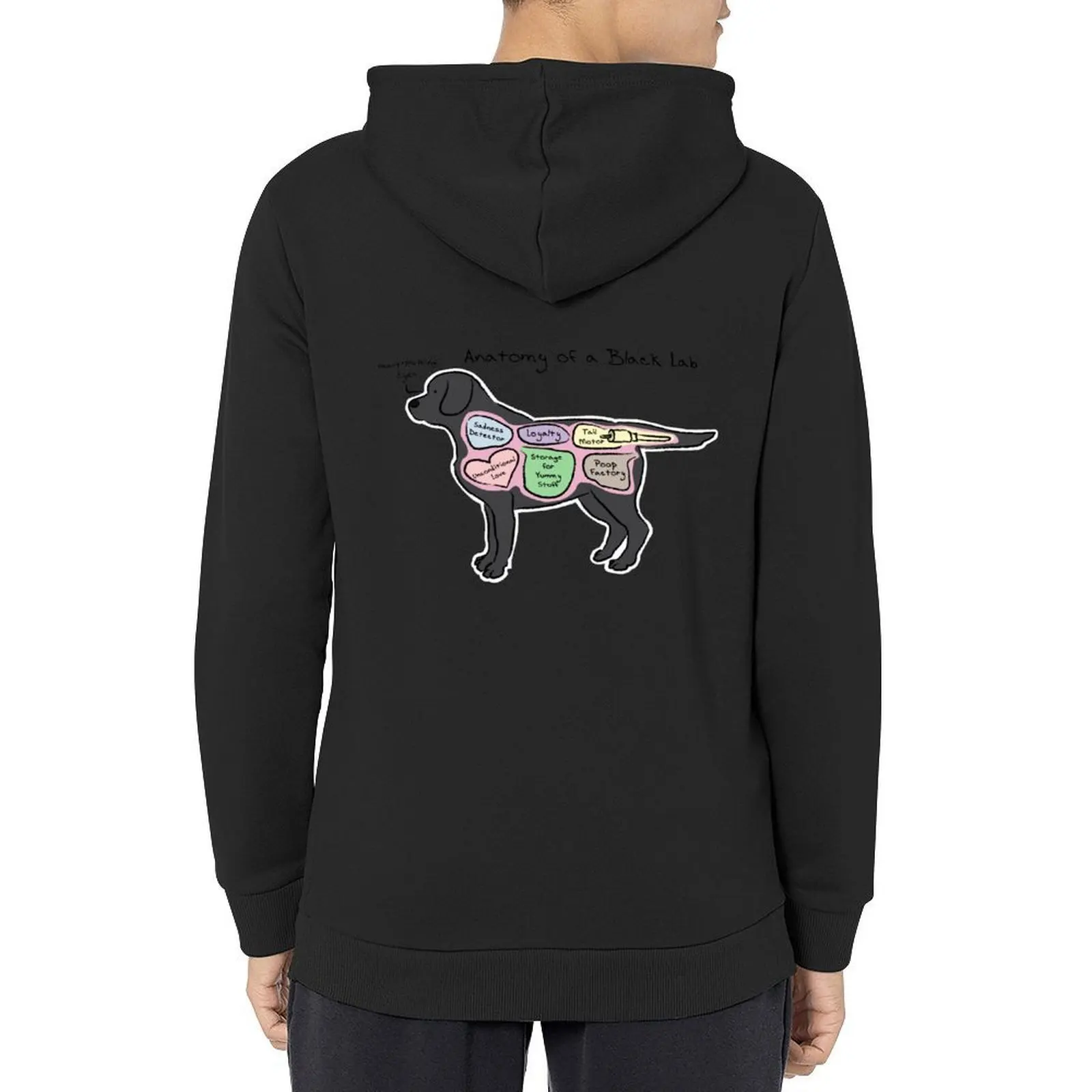 

Anatomy of a Black Lab Hoodie korean clothes graphic t shirts men autumn new products autumn jacket men tracksuit men