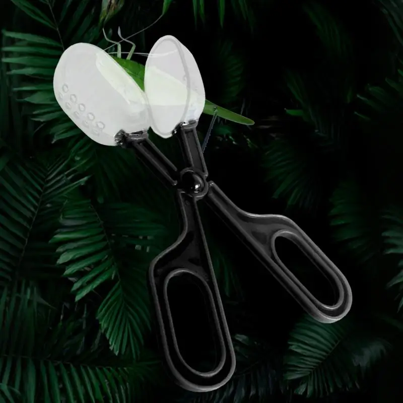 Queen Bee Catcher Cage Clips Beekeeping Tools Reusable Queen Bee Catcher Lightweight Catching Tool Swarm Traps For Outdoor