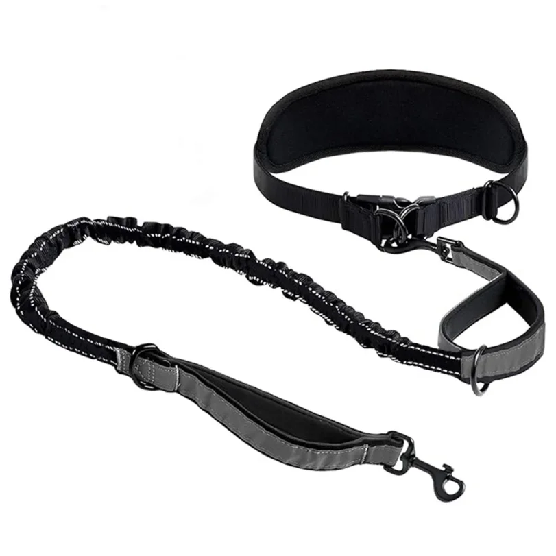 Hands Free Dog Leash Dog Waist Leash With Lumbar Support Belt Multifunctional Extendable Dog Leash Reflective Bungee Leash Black view 6