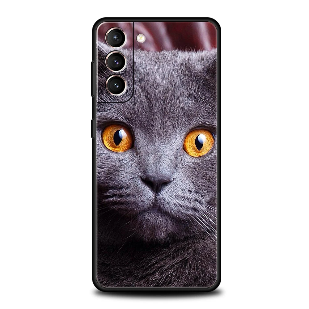 British shorthair cat Phone Case For Samsung Galaxy S24 S23 Ultra S22 S21 S20 FE 5G S10 S10E S9 Plus S8 Silicone Black Cover